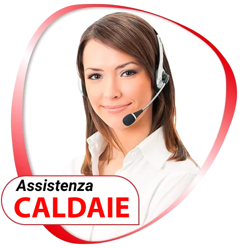 Assistenza Caldaie Rinnai Canavese